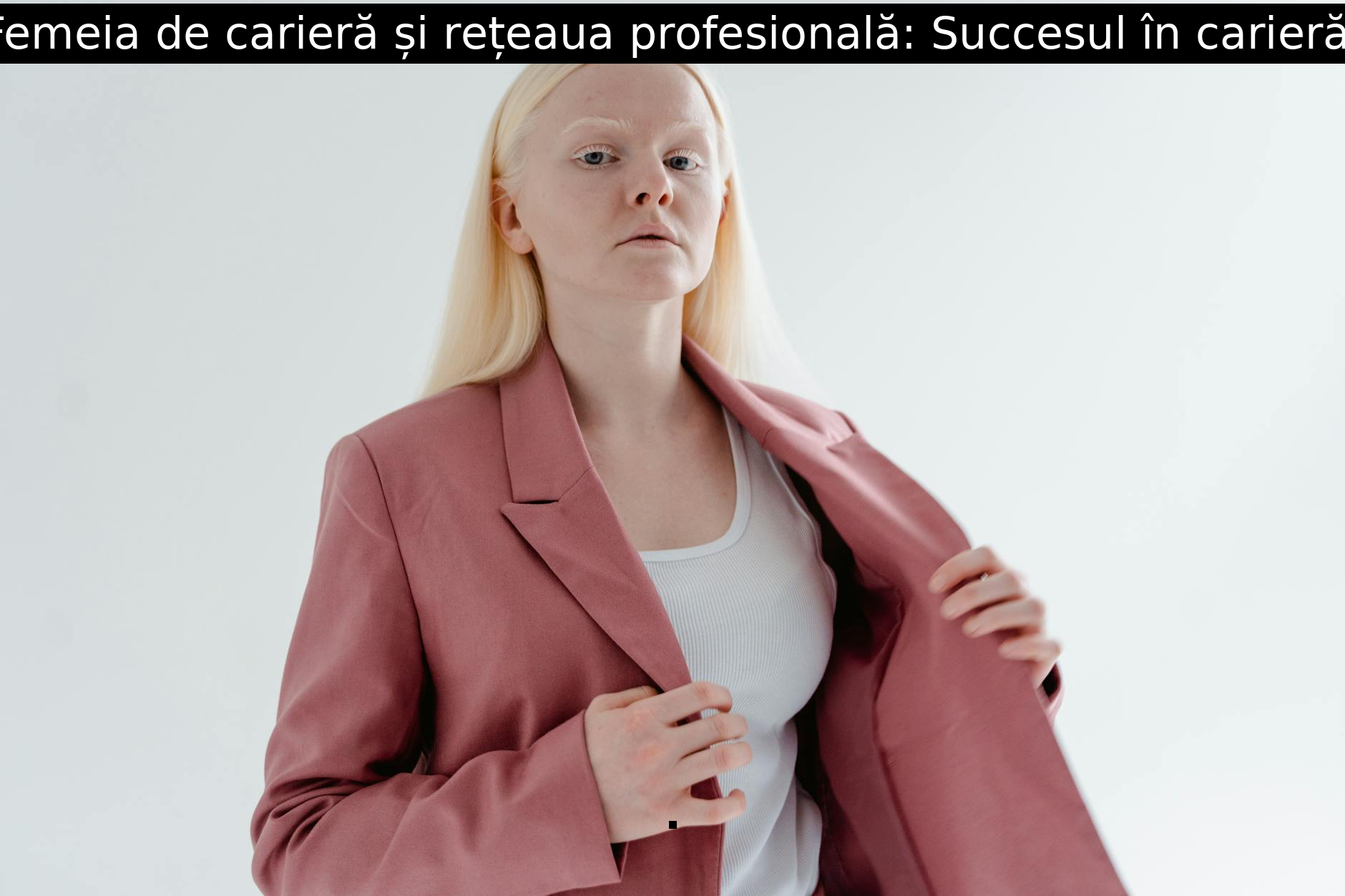 Femeia de carieră și rețeaua profesională: Succesul în carieră.