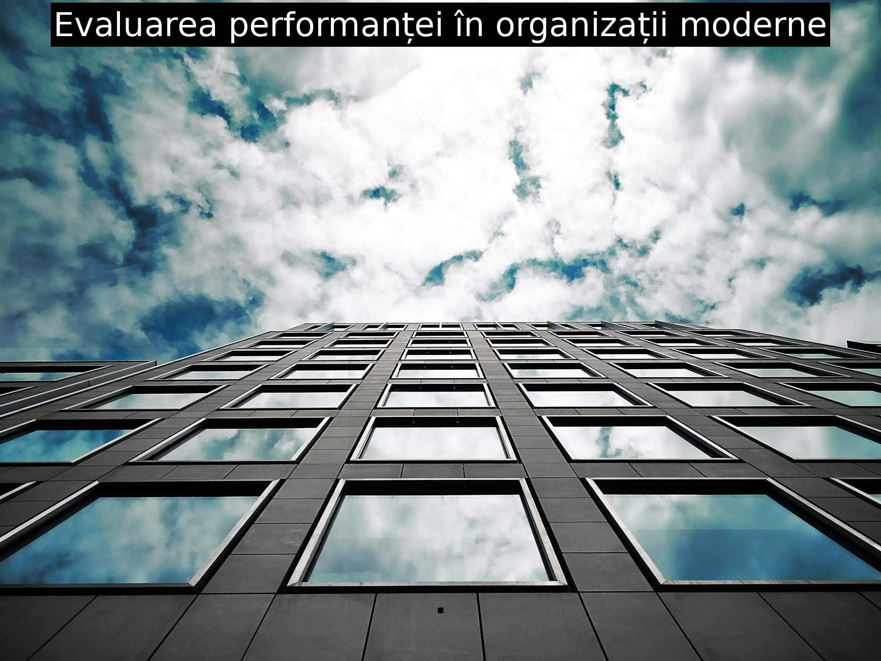 Evaluarea performanței în organizații moderne