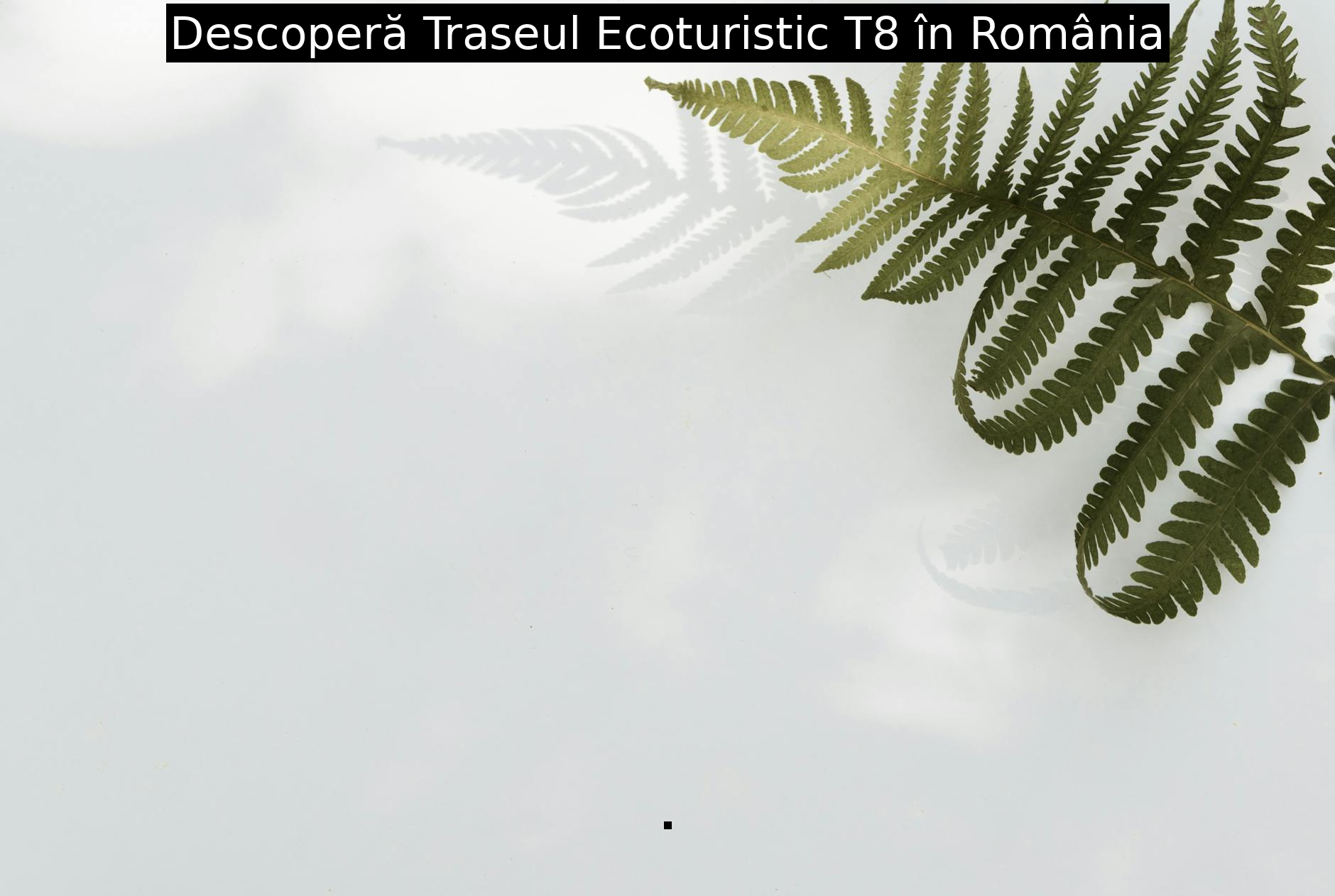 Descoperă Traseul Ecoturistic T8 în România