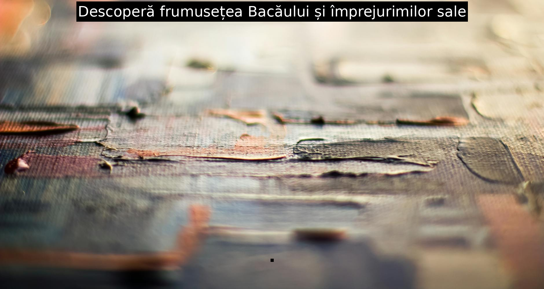 Descoperă frumusețea Bacăului și împrejurimilor sale