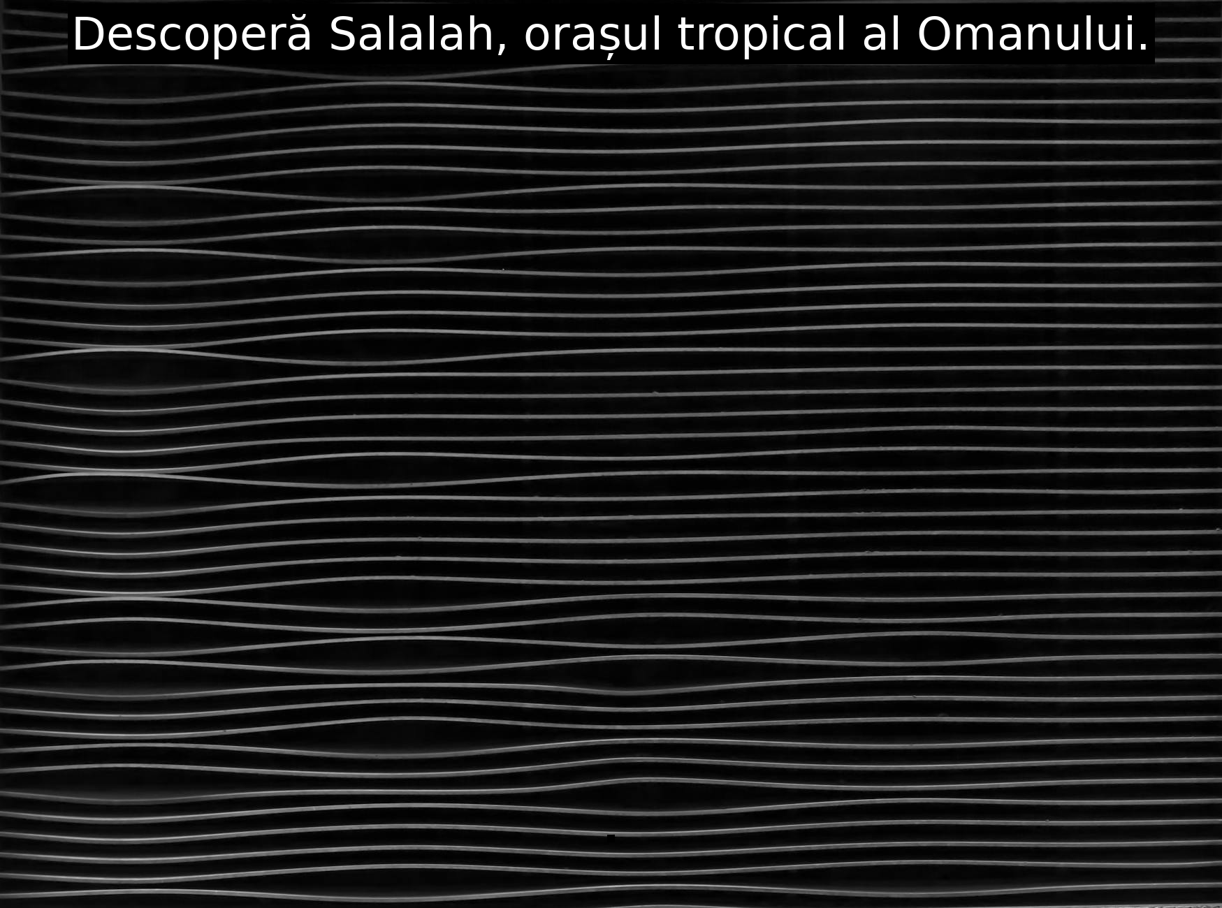 Descoperă Salalah, orașul tropical al Omanului.